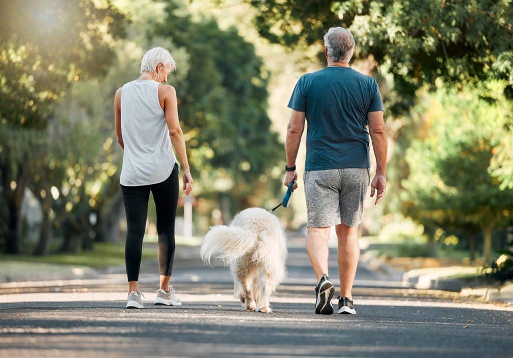couple walking dog summer evening