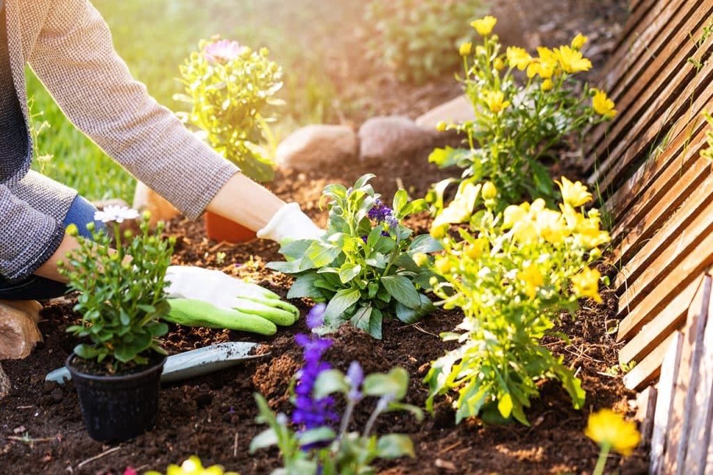 woman gardening with gloves on