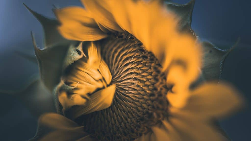 Megan Baker Photography