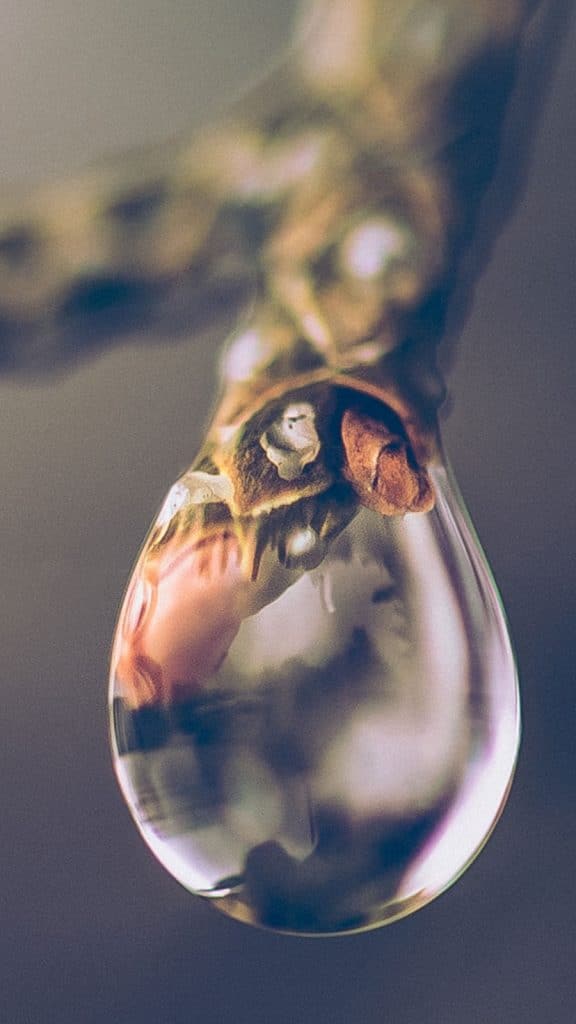 Megan Baker Photography