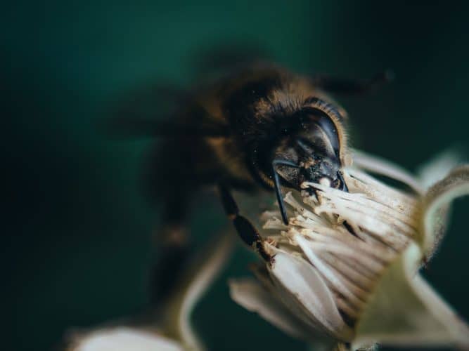 Megan Baker Photography