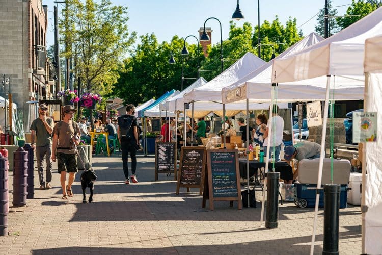 Man with dog walking at Bend Farmers Market