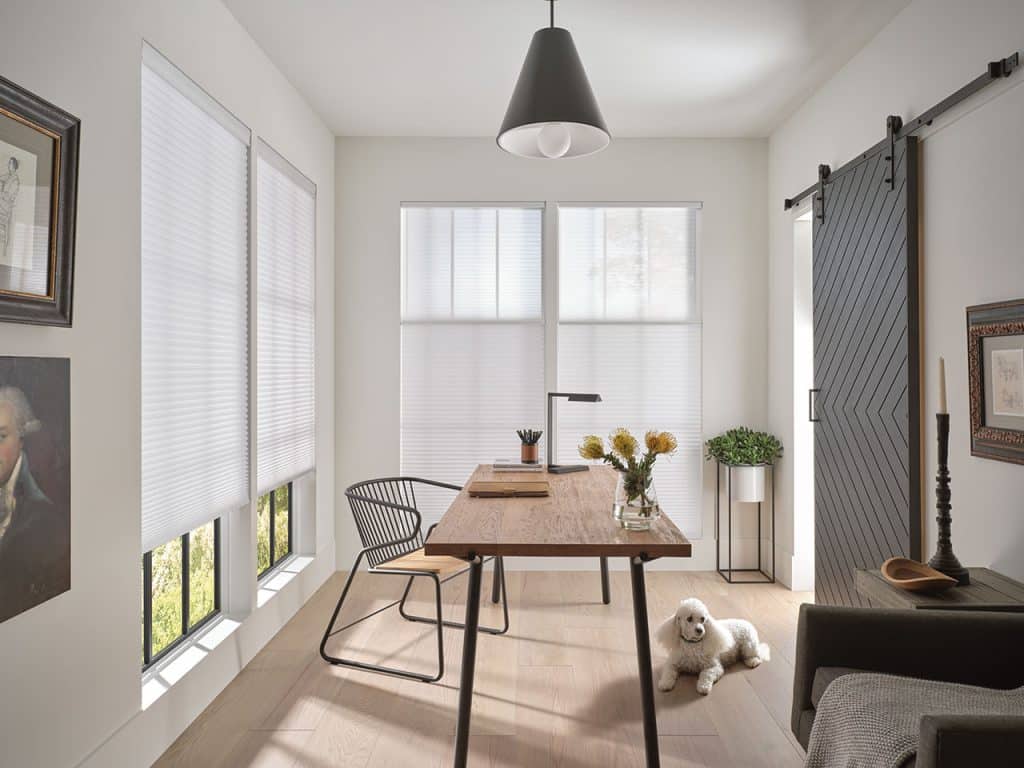 Living room with dog