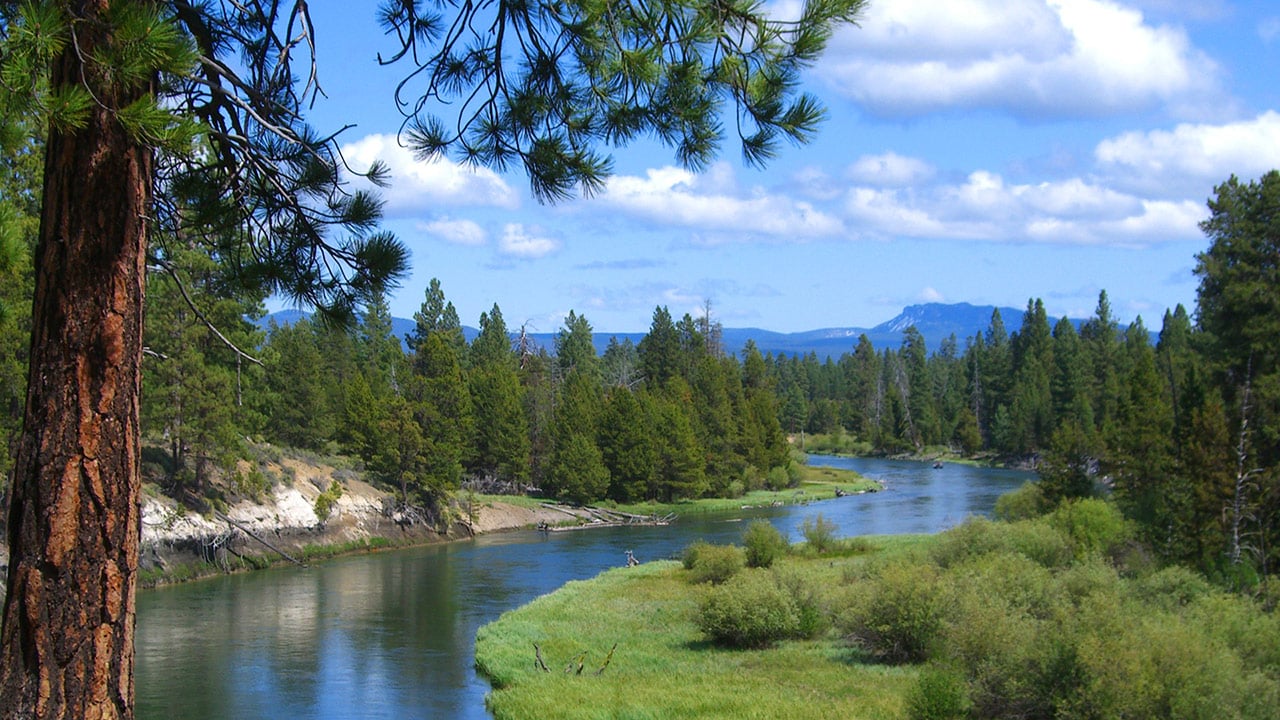 La Pine State Park