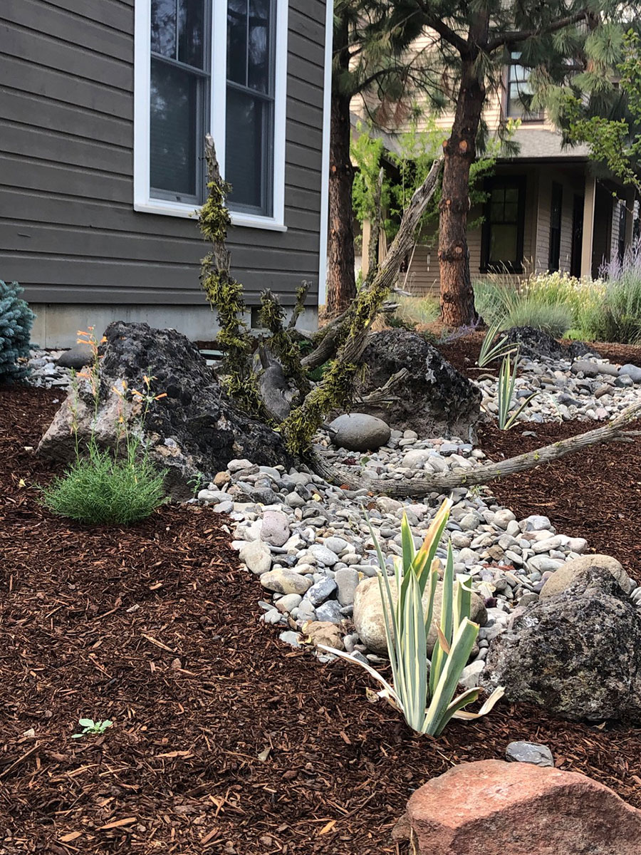 Rocks and drought-friendly lawn