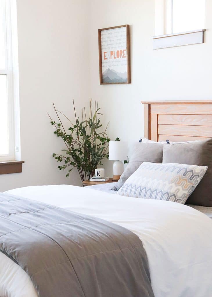 Bedroom with pillows and plant in corner