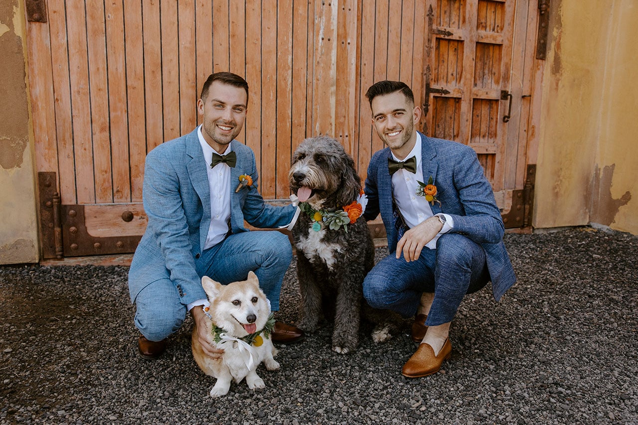 Wedding couple with their dogs.