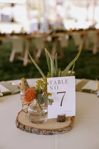 Succulent table placement card