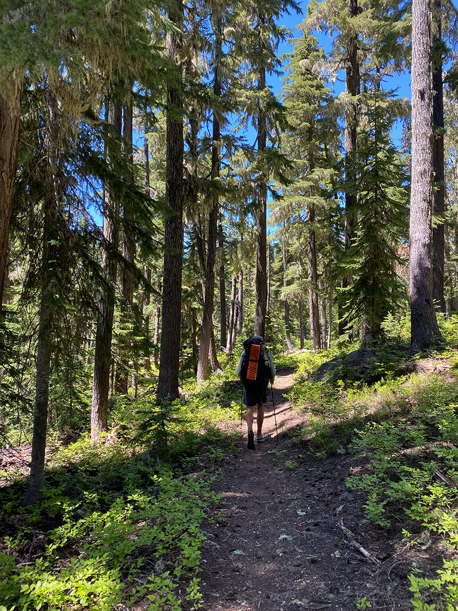 start hiking the PCT trail in Central Oregon