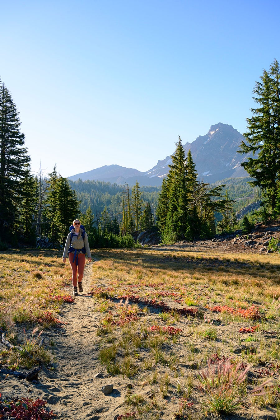 Woman walking in meadow in the wilderness