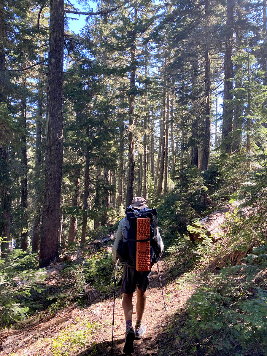 Continue down PCT Trail