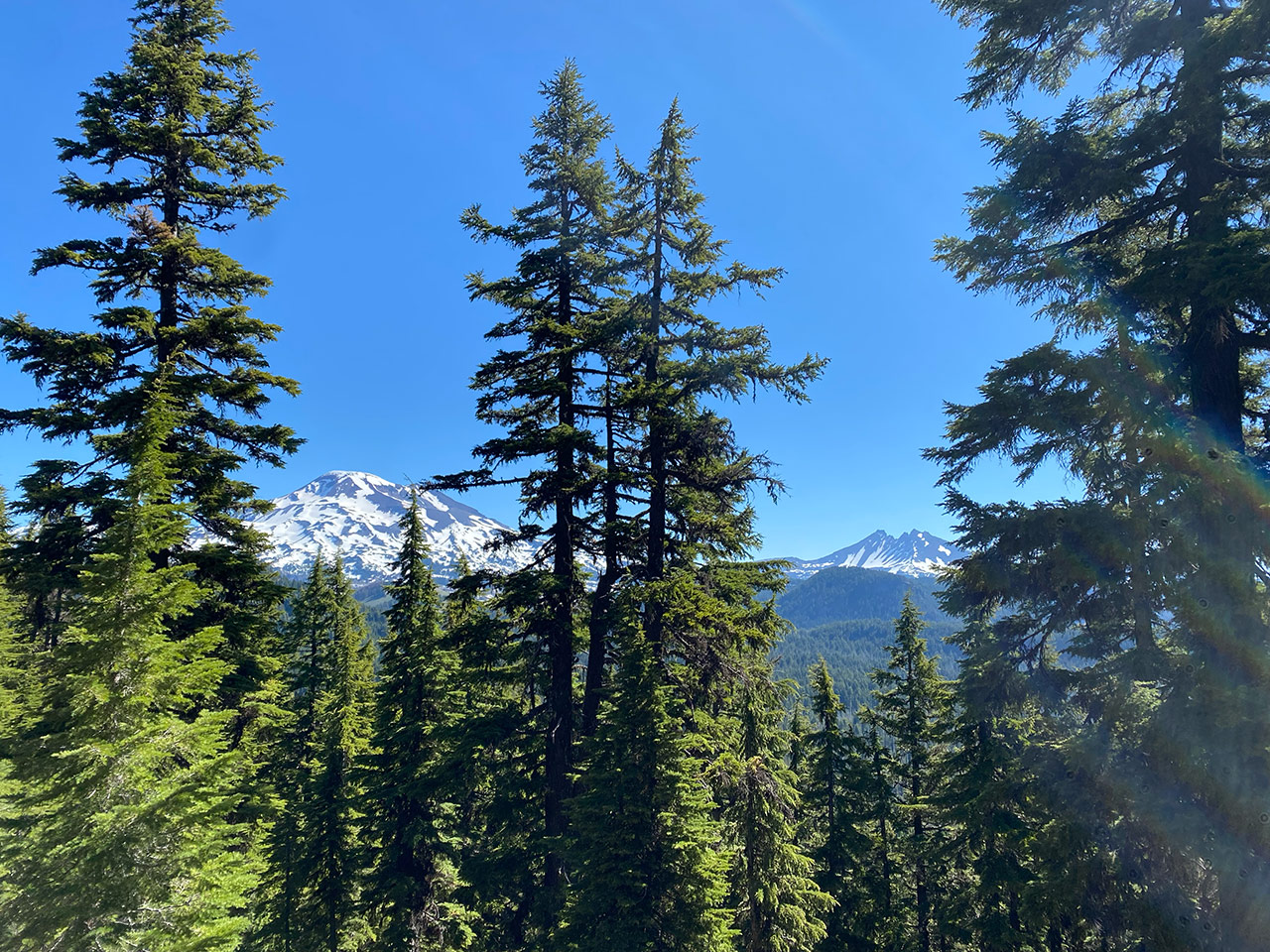 views of South Sister and Broken Top on the PCT Trail