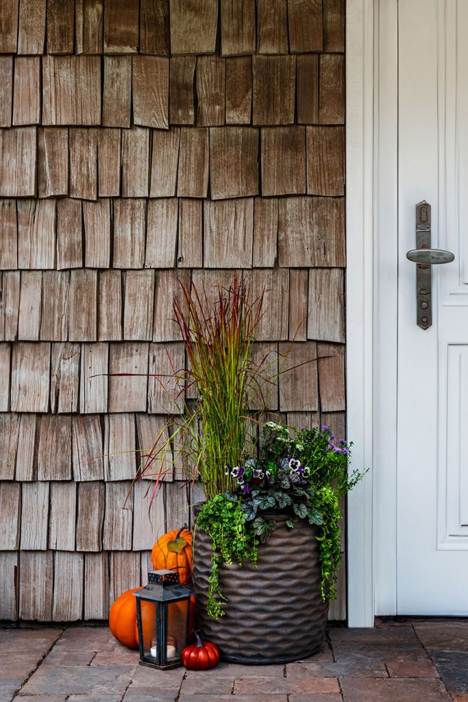 Door with planter beside it outside.