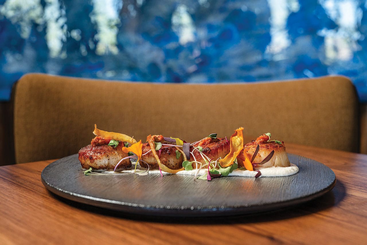 Iris scallops