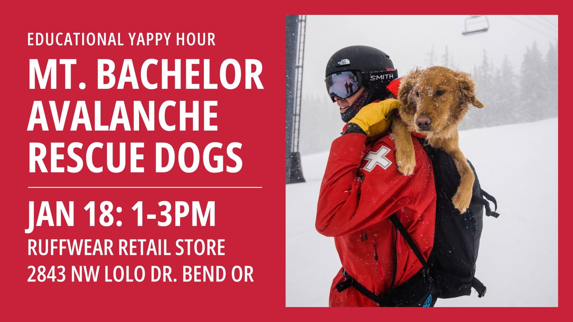 mt. bachelor avalanche dogs