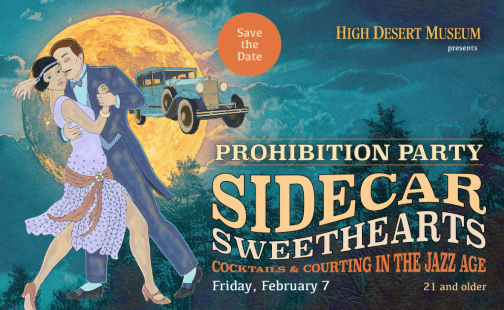 HDM prohibition party