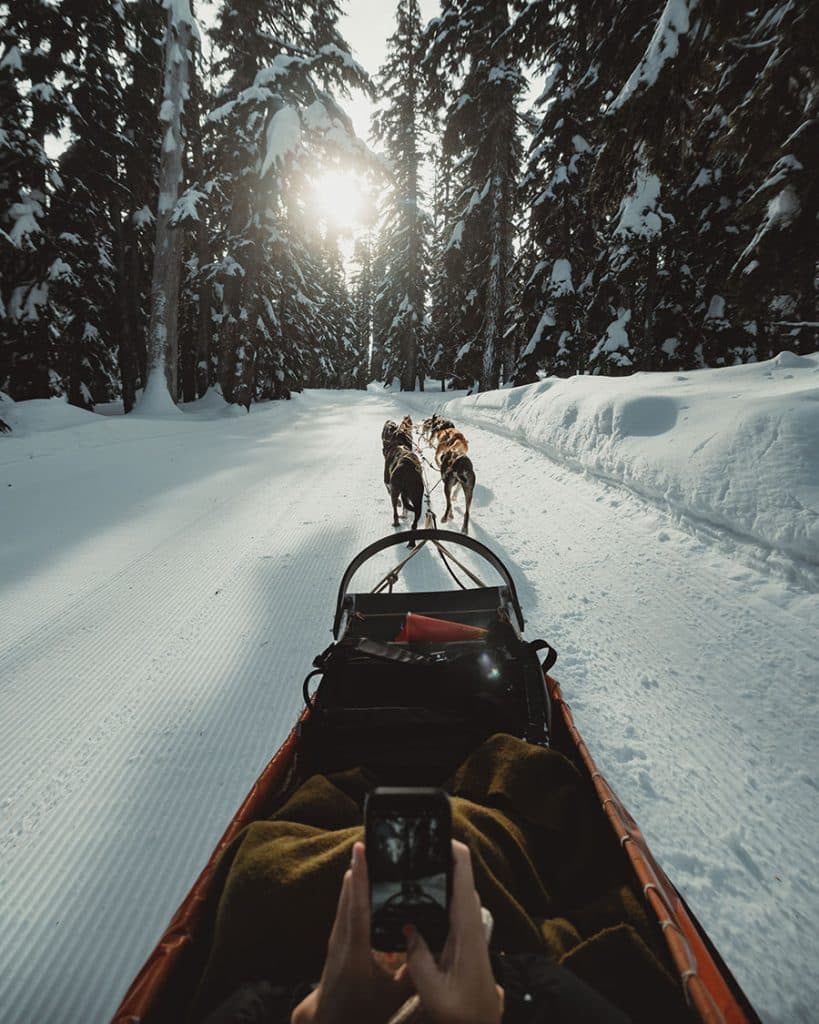 Dog sledding at Mt. Bachelor