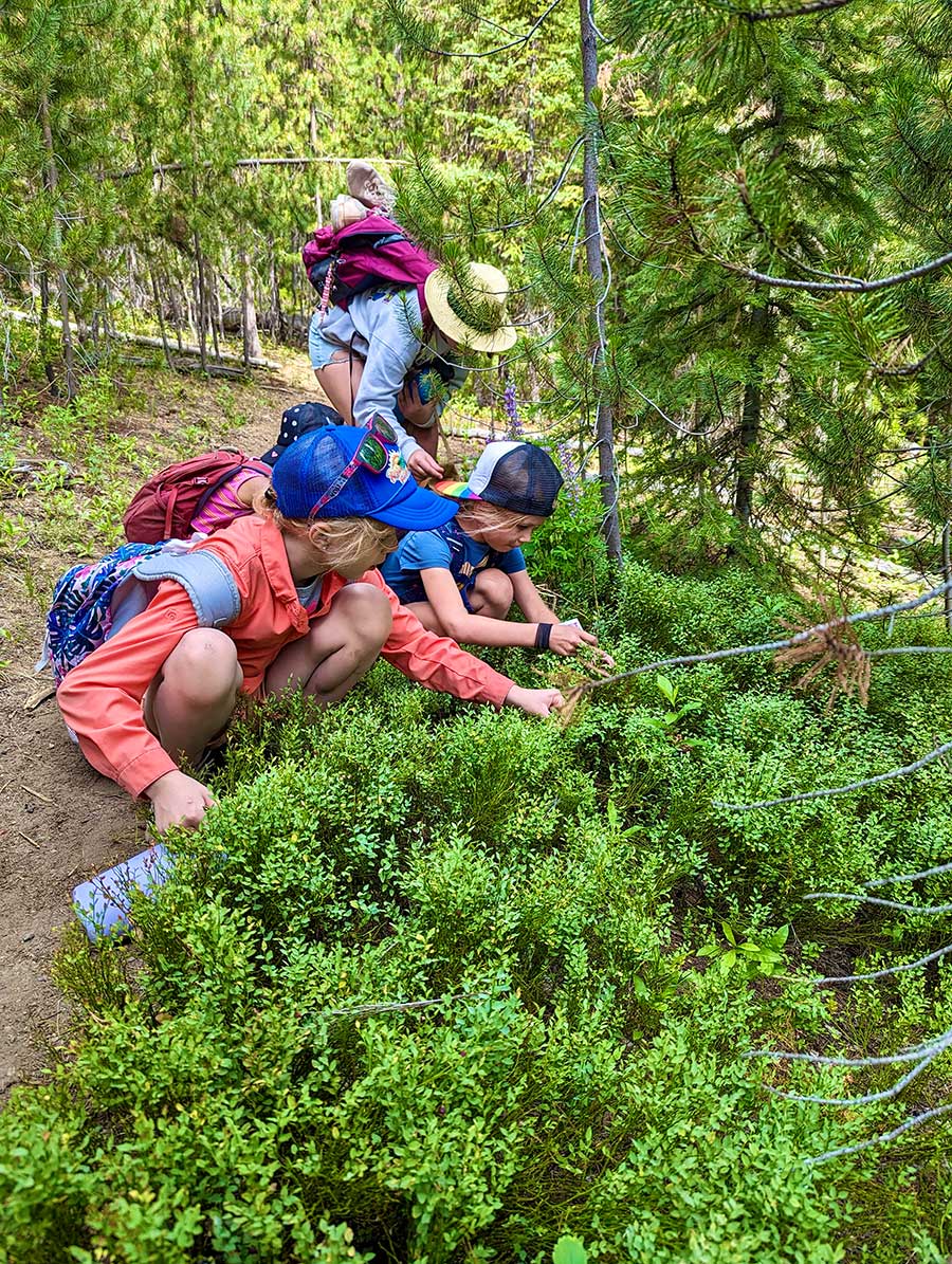 foraging kids