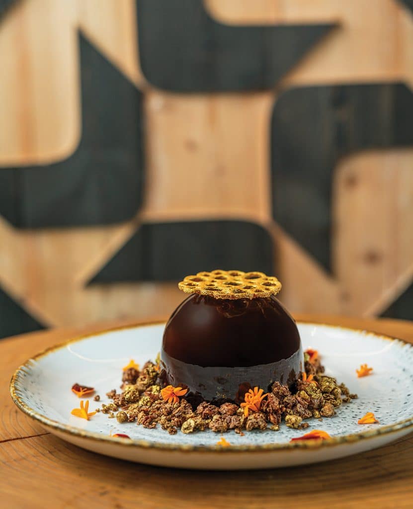 Sourdough Chocolate Mousse Cake