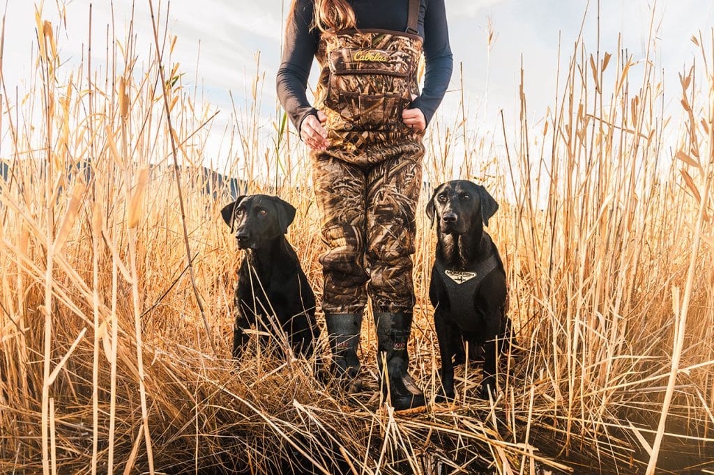 Widge, Gillian Murkin and Quin