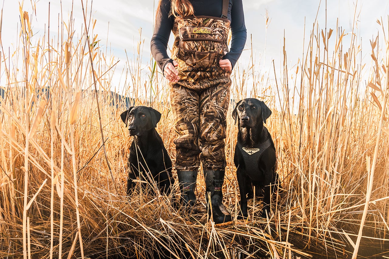 Widge, Gillian Murkin and Quin