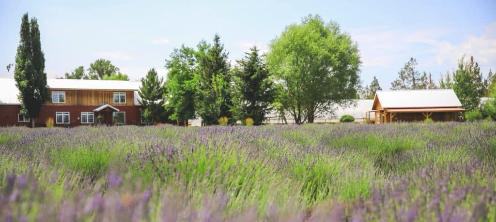 Tumalo Volunteer day