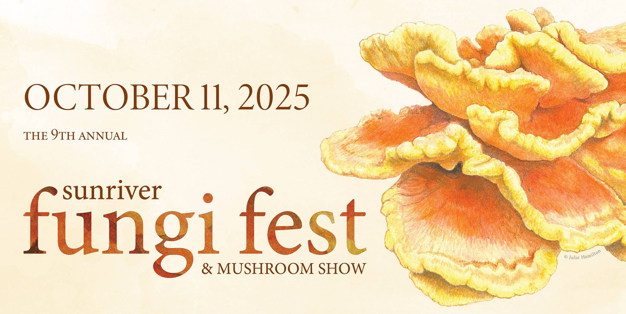 Fungi fest