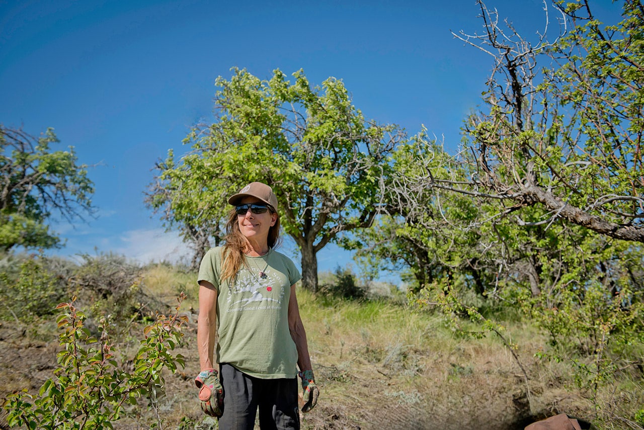 Carolyn CJ Johnson of In Cahoots Heirloom Apple Collaborative