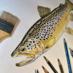 Tye Krueger Brings Art and Science Together in Fish Illustrations