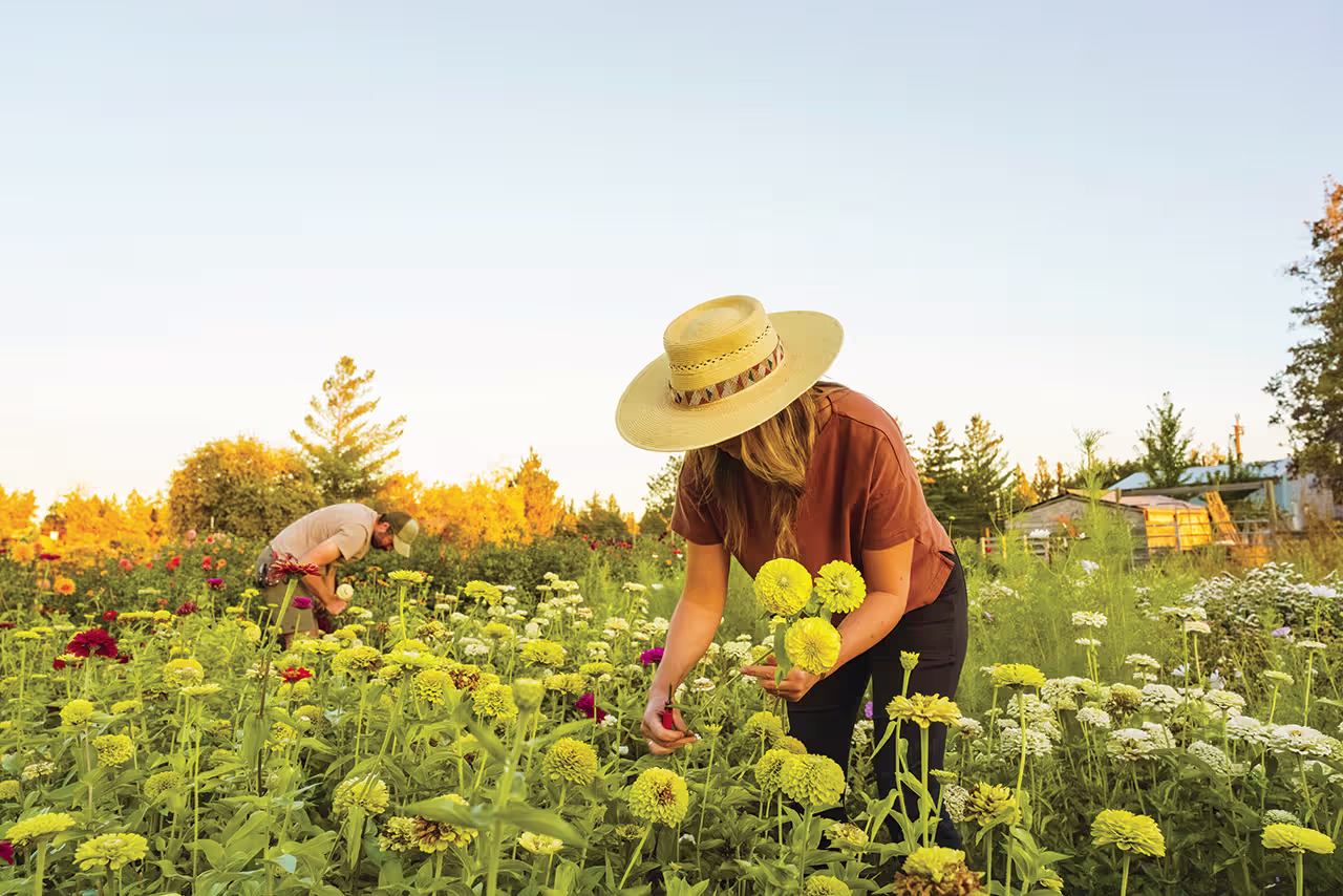 A couple picking flowers at Roots Wild Floral