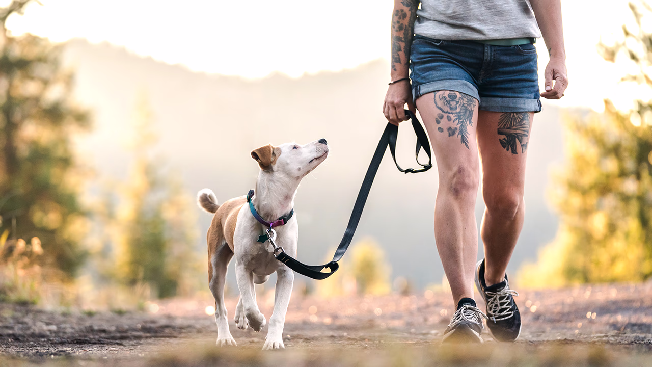 A woman and her dog on a trail