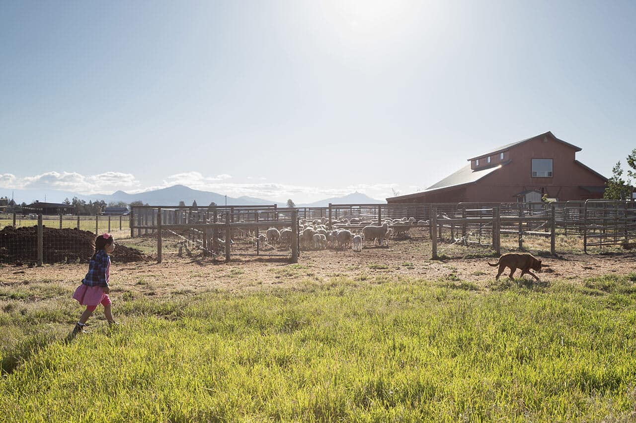 Girl walking across ranch towards the barn