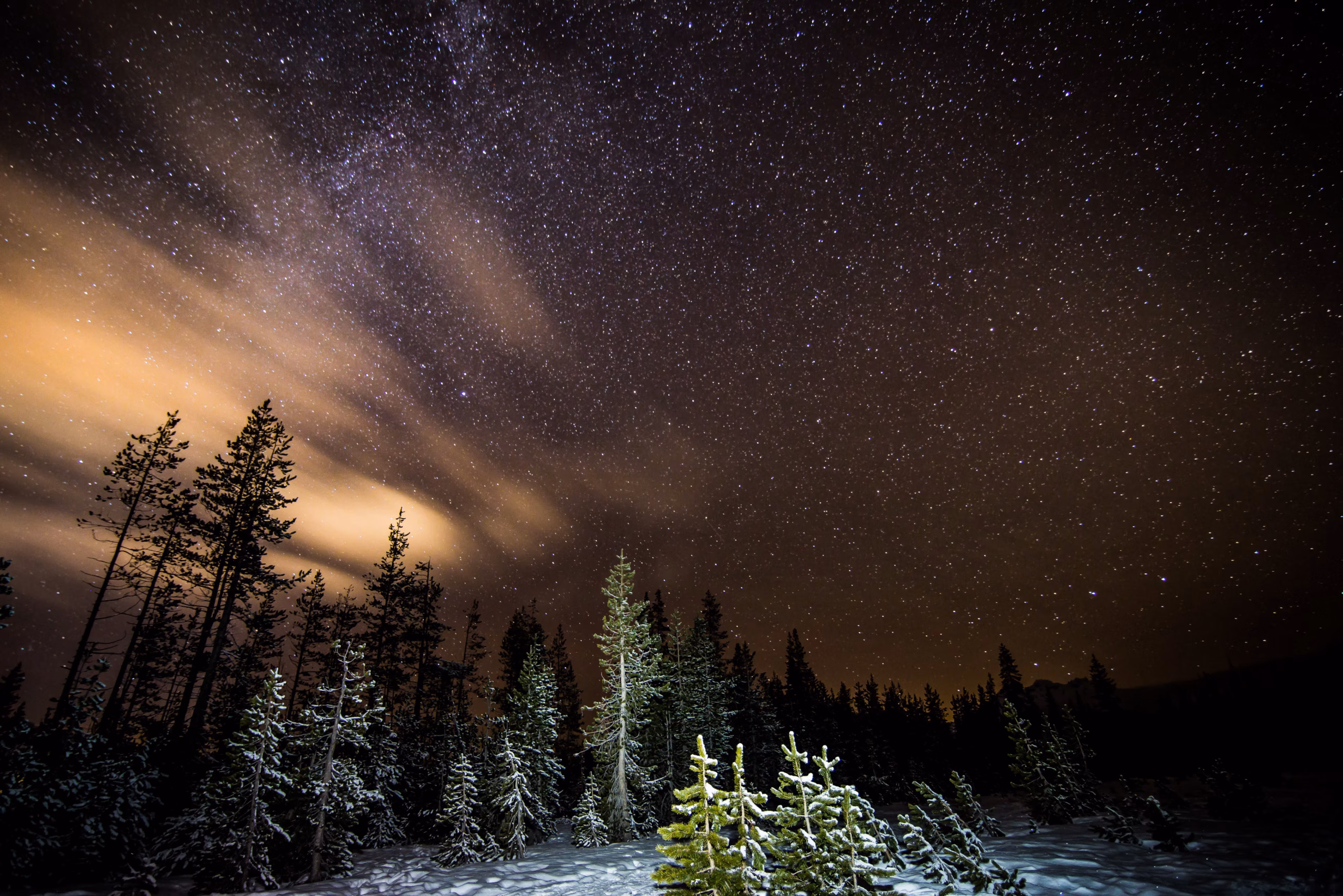 Starry skies above Central Oregon