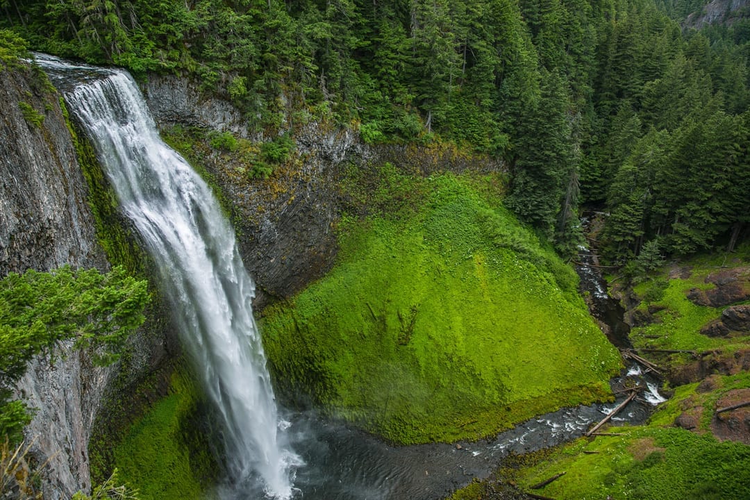 Salt Creek Falls in Oakridge, Oregon
