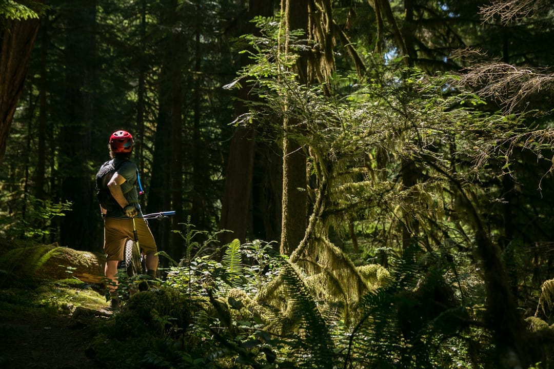 mountain biking in Oakridge, Oregon