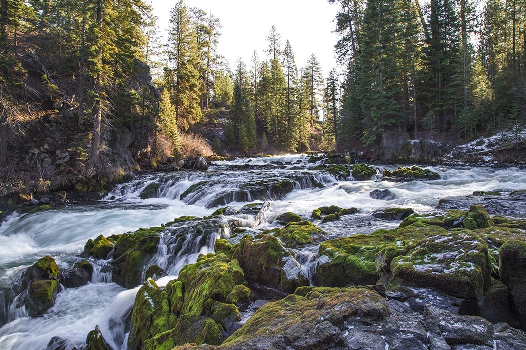 Spring hiking Benham falls bend, oregon