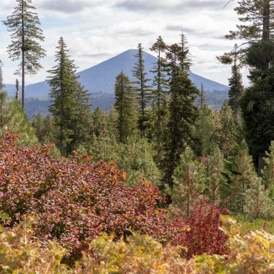 Where to Find Peak Fall in Central Oregon