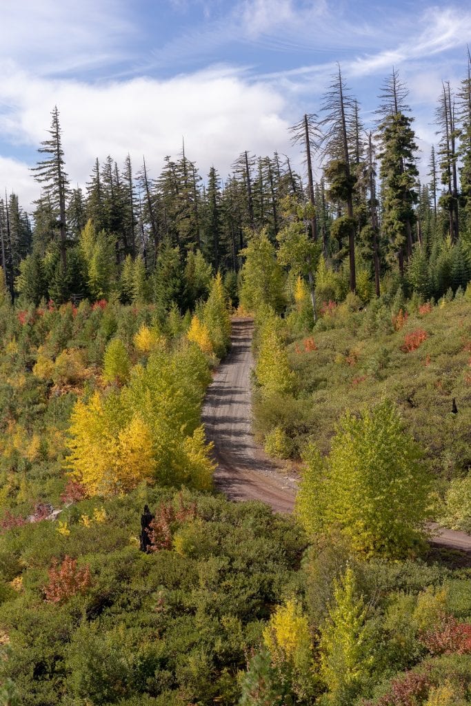 Fall in Central Oregon