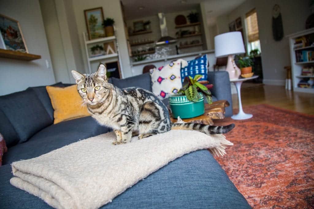 DIY Home style and design tour Bend, Oregon