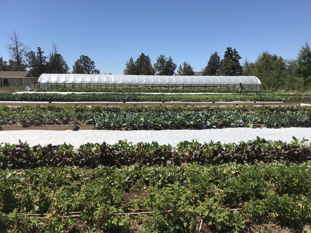 Windflower Farm in Bend, Oregon