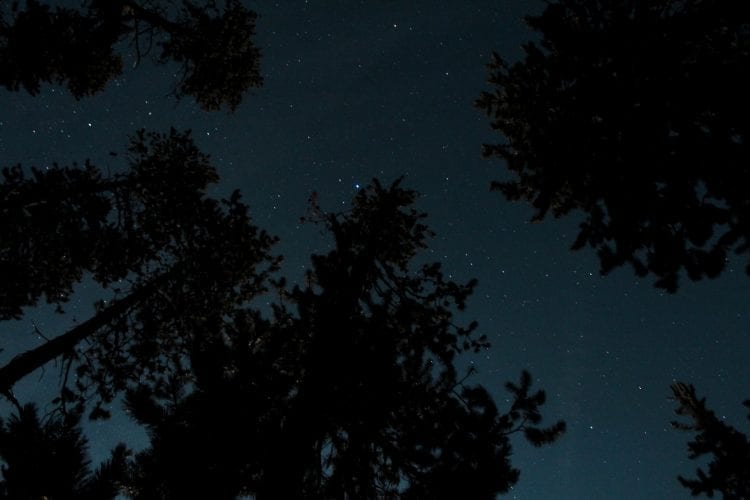 Night sky in the Deschutes National Forest in Bend, Oregon on a canoe trip with Wanderlust Tours