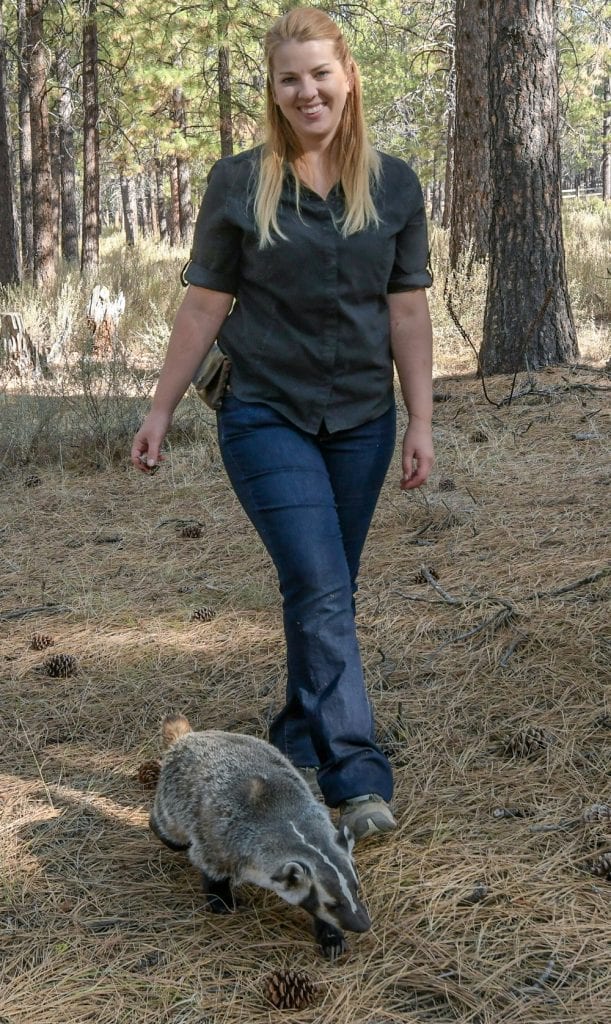 Walking with Clyde the badger at the High Desert Museum in Bend, Oregon