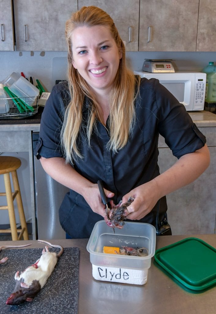 Prepping food for wildlife at the High Desert Museum in Bend, Oregon