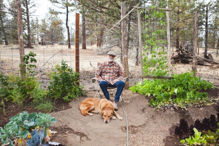 Dennis McGregor Backyard and Dog
