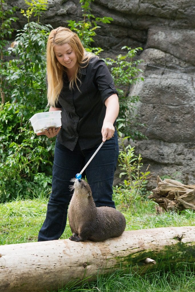 Alysia Wolf with an otter at the High Desert Museum in Bend, Oregon