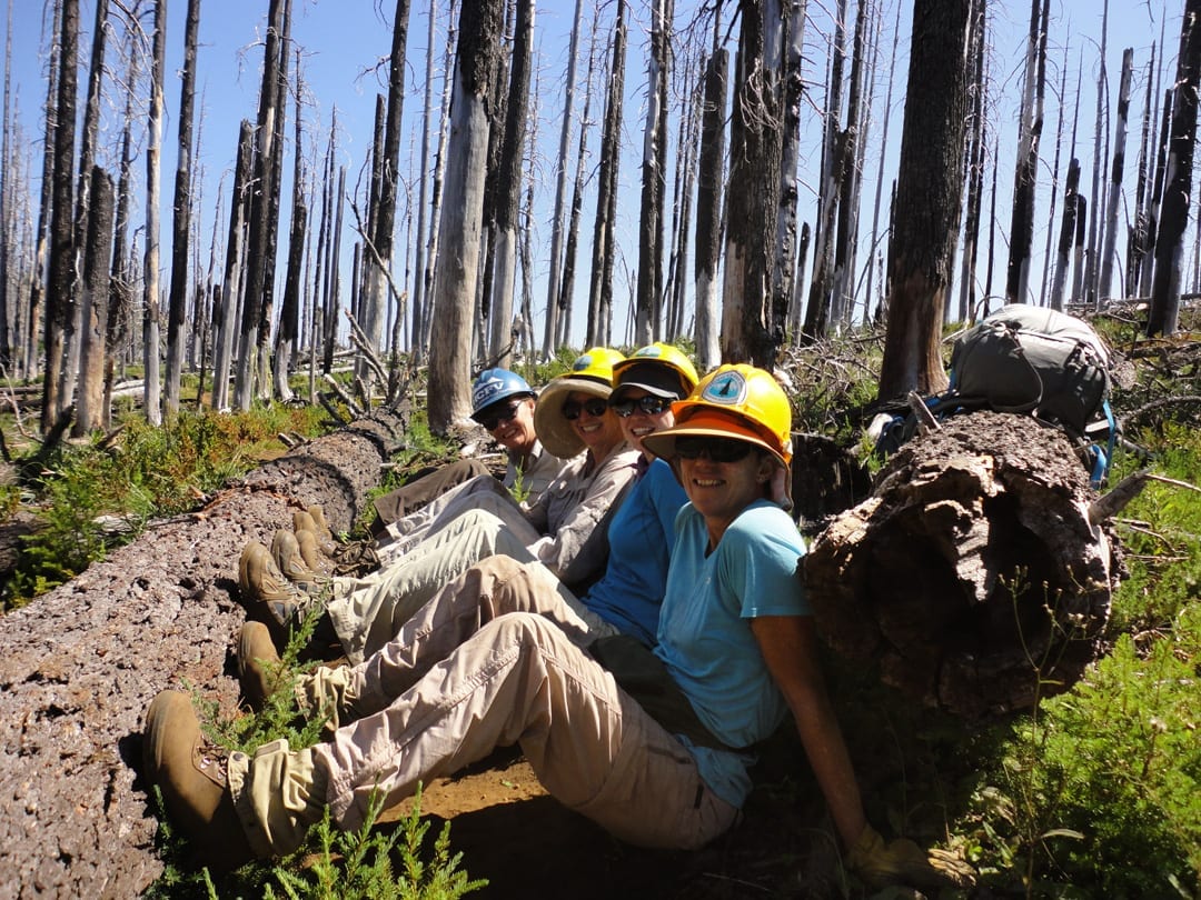 Trail maintenance along the PCT